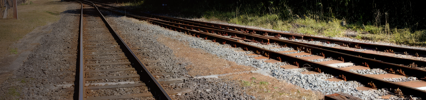 採用エントリー