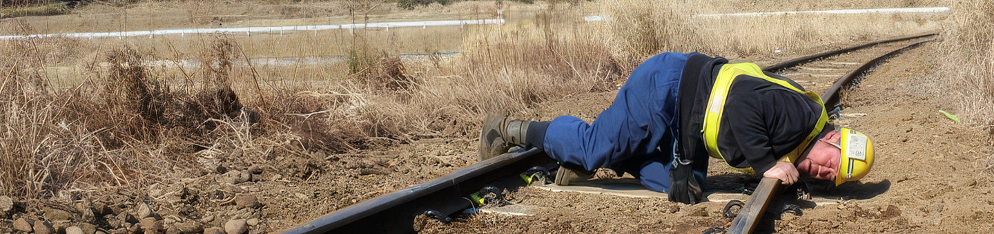 社員インタビュー